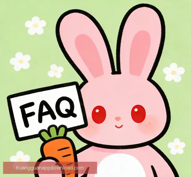 常见问题